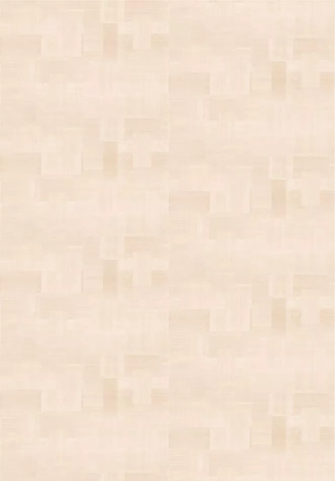 Transgression RM1134 50