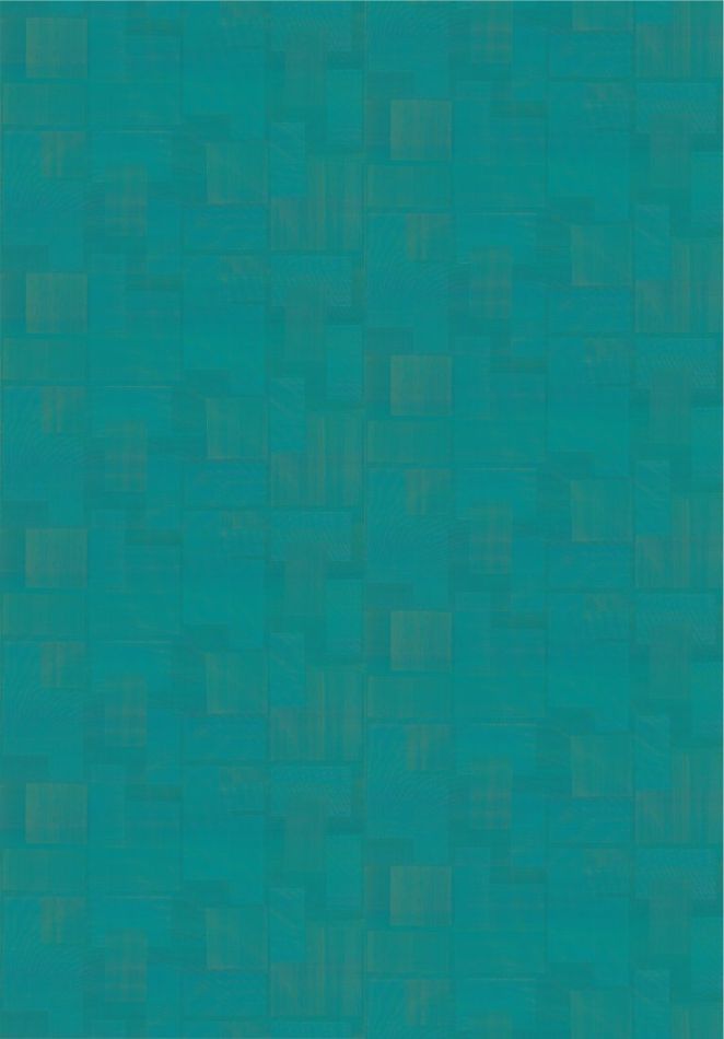 Preview: Transgression RM1134 65