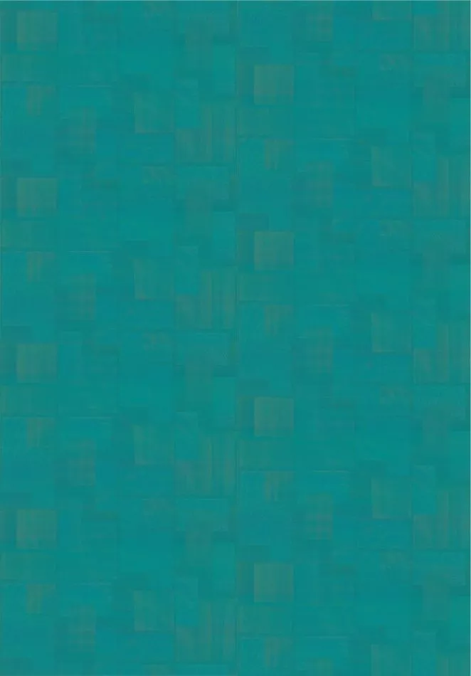 Transgression RM1134 65