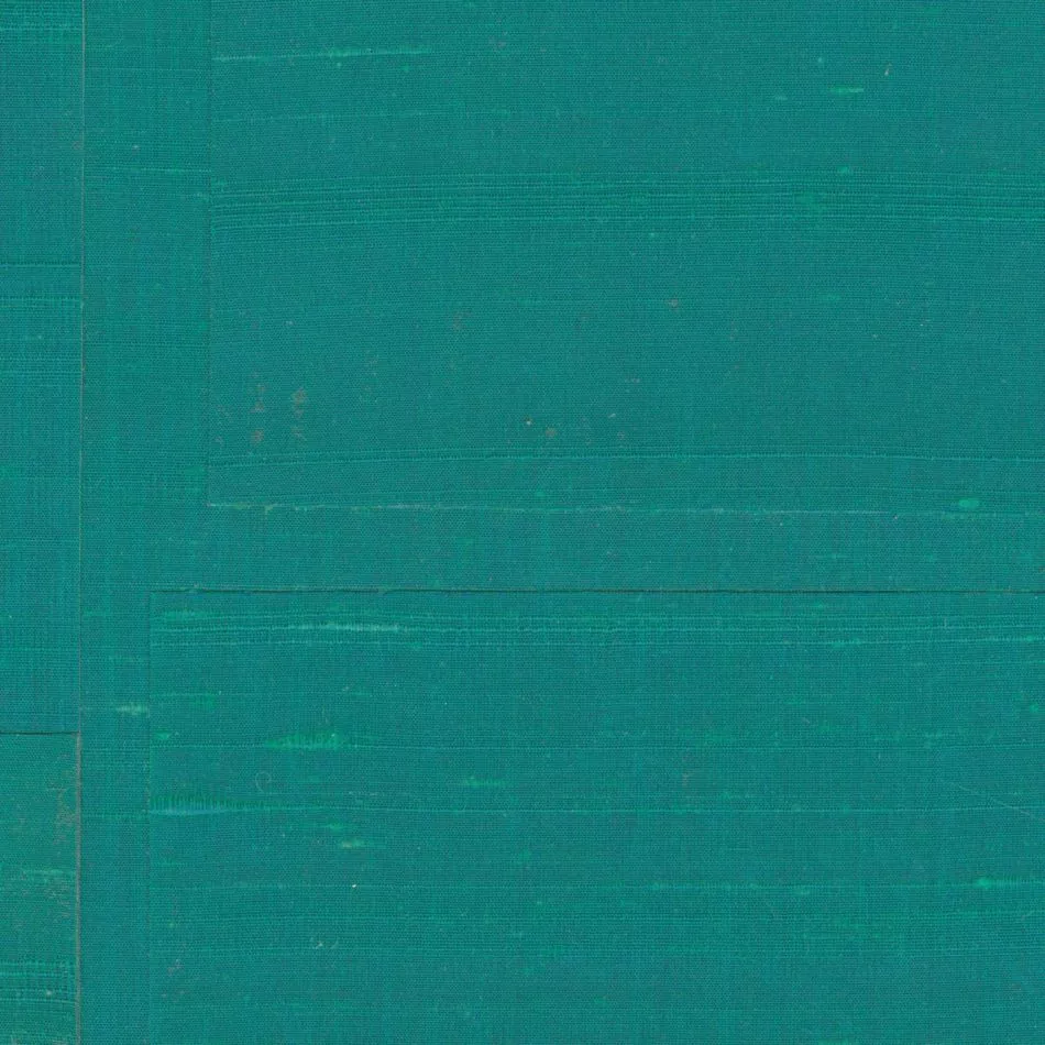 Transgression RM1134 65