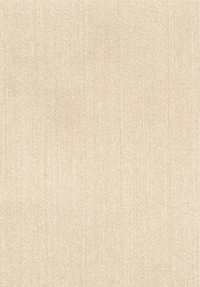 Faisceau RM1146 02