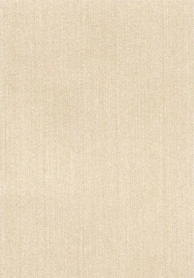 Faisceau RM1146 02