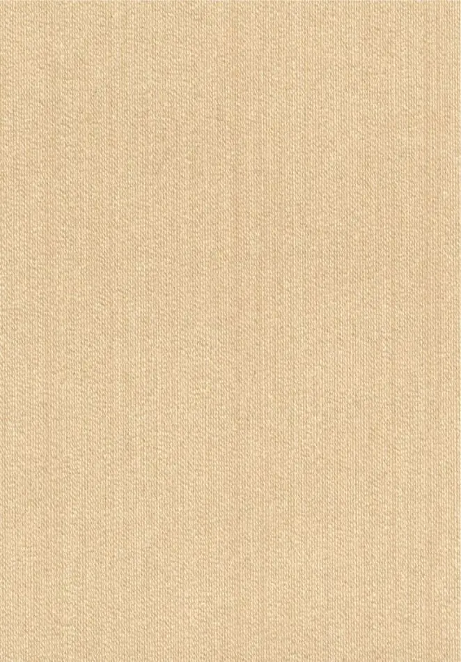Faisceau RM1146 10