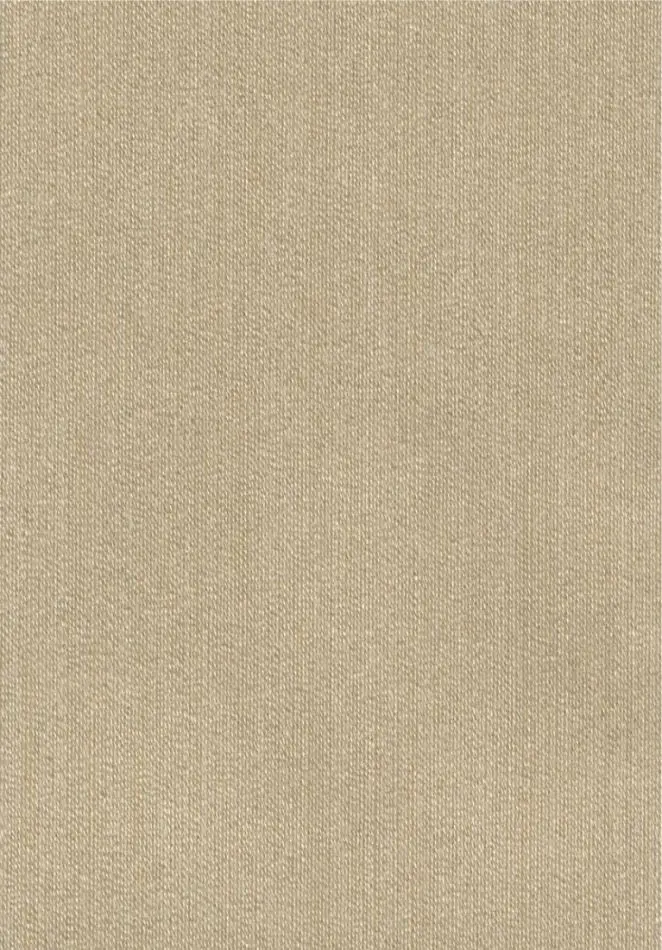 Faisceau RM1146 15