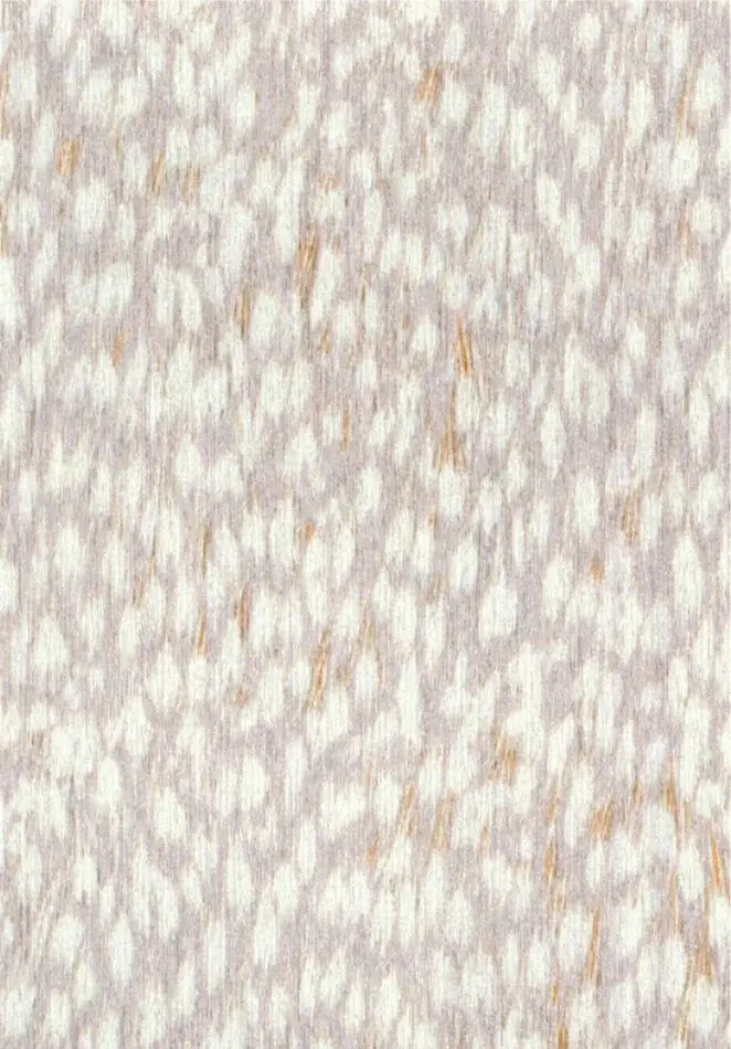 Nuée RM1148 01