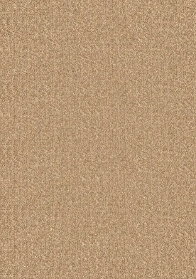 Nuée RM1148 70