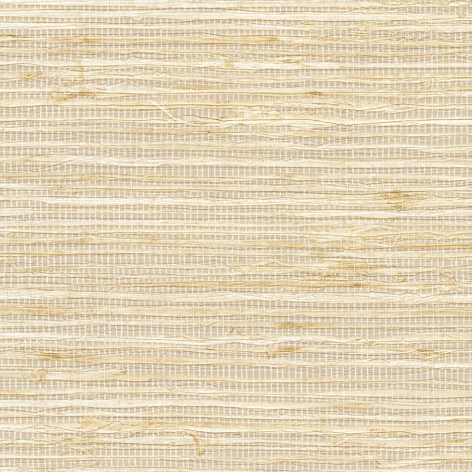 Preview: Arrowroot VP1050 03