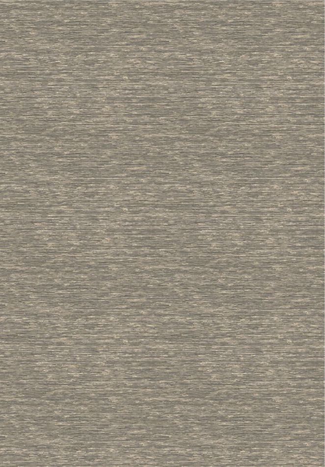 Preview: Arrowroot VP1050 80