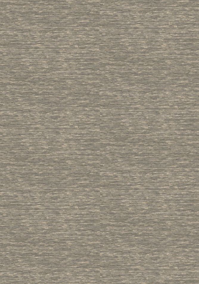 Preview: Arrowroot VP1050 80