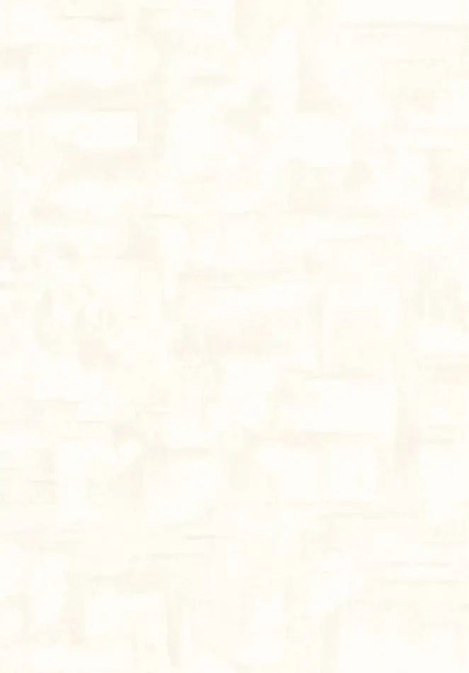Strate VP1051 01