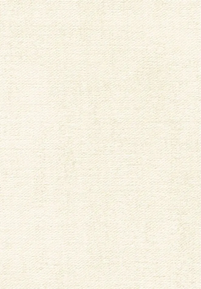 Toile VP1057 01