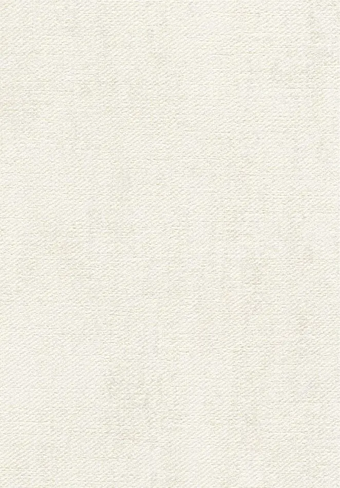 Toile VP1057 02