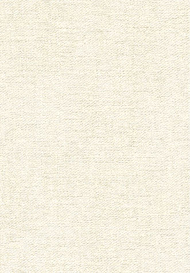 Toile VP1057 03
