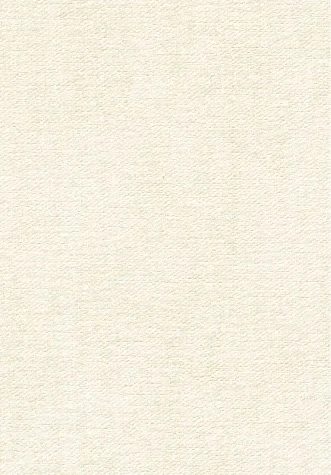 Toile VP1057 03