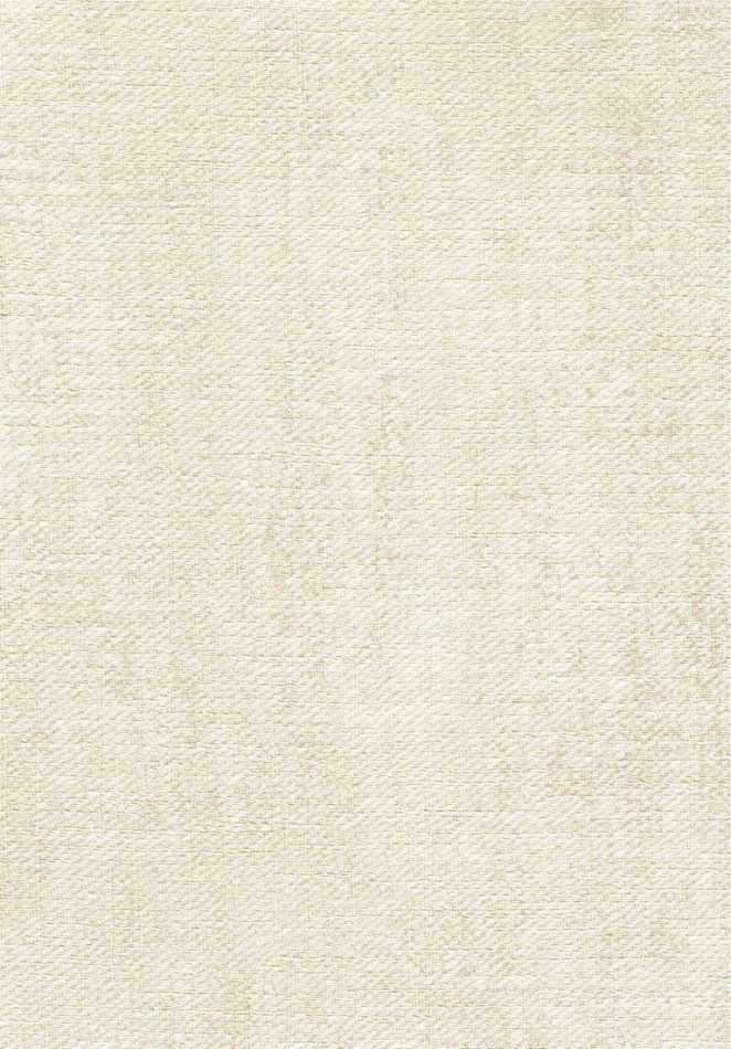 Toile VP1057 04