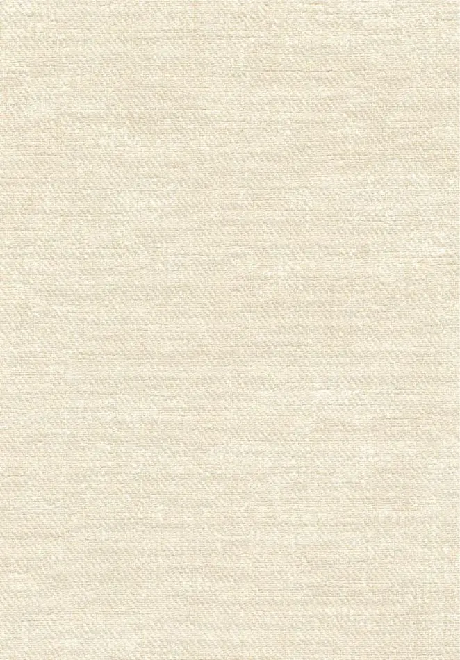 Toile VP1057 05
