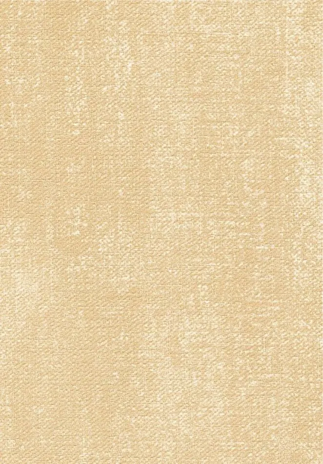 Toile VP1057 12
