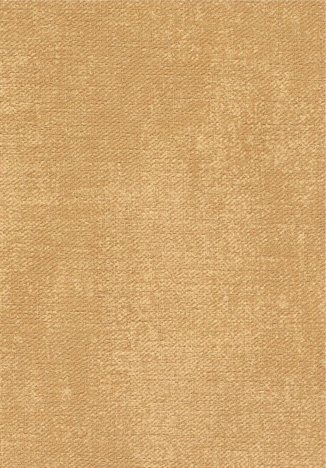 Toile VP1057 24
