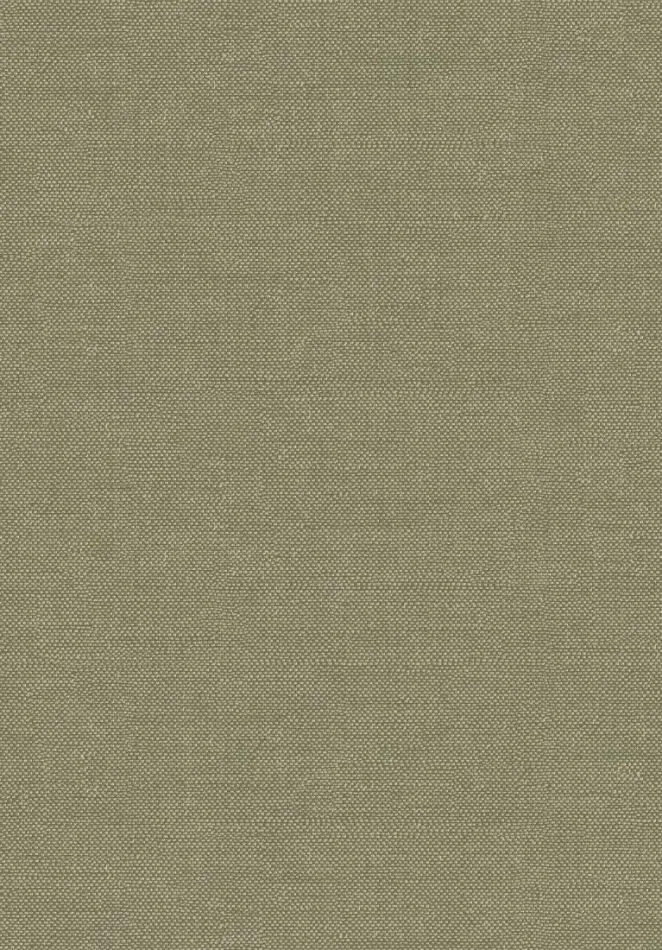 Lux Kaki FOL901