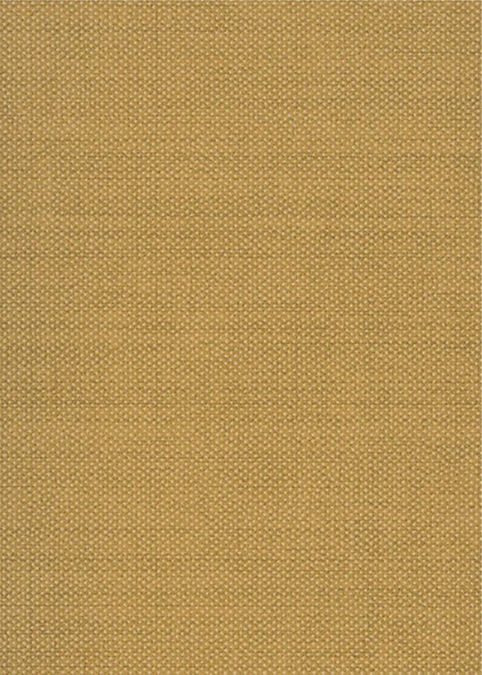 Preview: Dixie Pampas GAT604