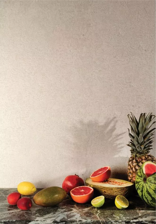 Havana Ramon Oyster HAV1001