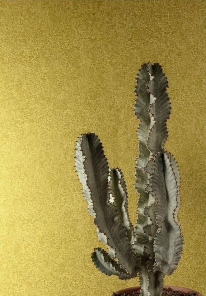 Preview: Havana Ramon Olive HAV1003