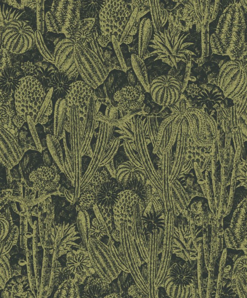 Preview: Havana Cactus Iguana HAV204