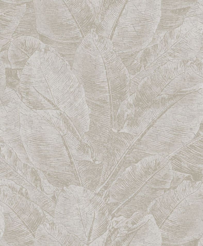 Preview: Havana Juan Silver HAV303