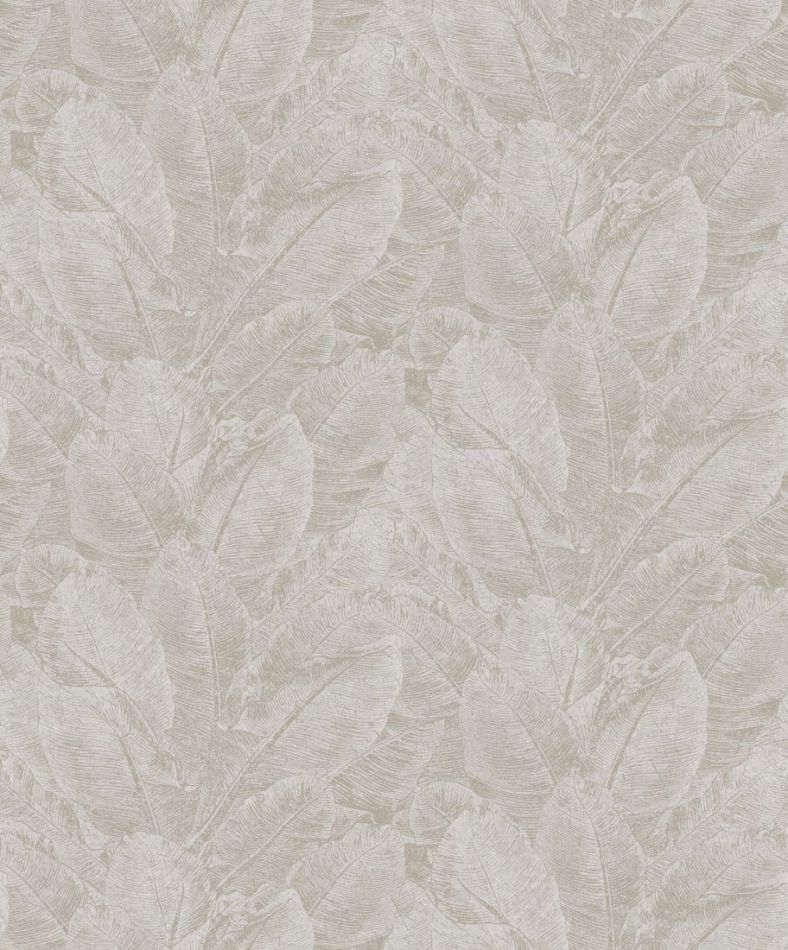 Preview: Havana Juan Silver HAV303