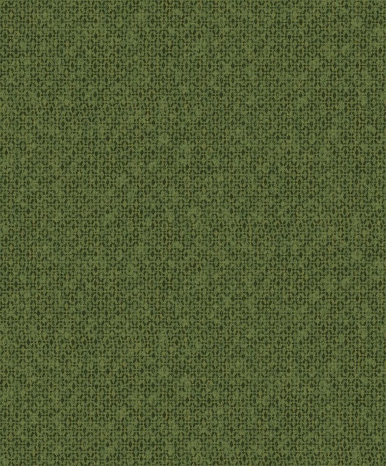 Preview: Havana Ada Iguana HAV502