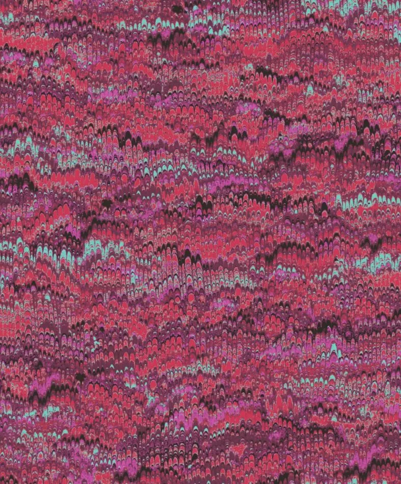 Havana Eduardo Viola HAV802