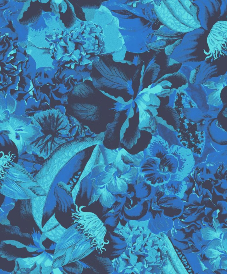 Preview: Havana Frida Amparo HAV902