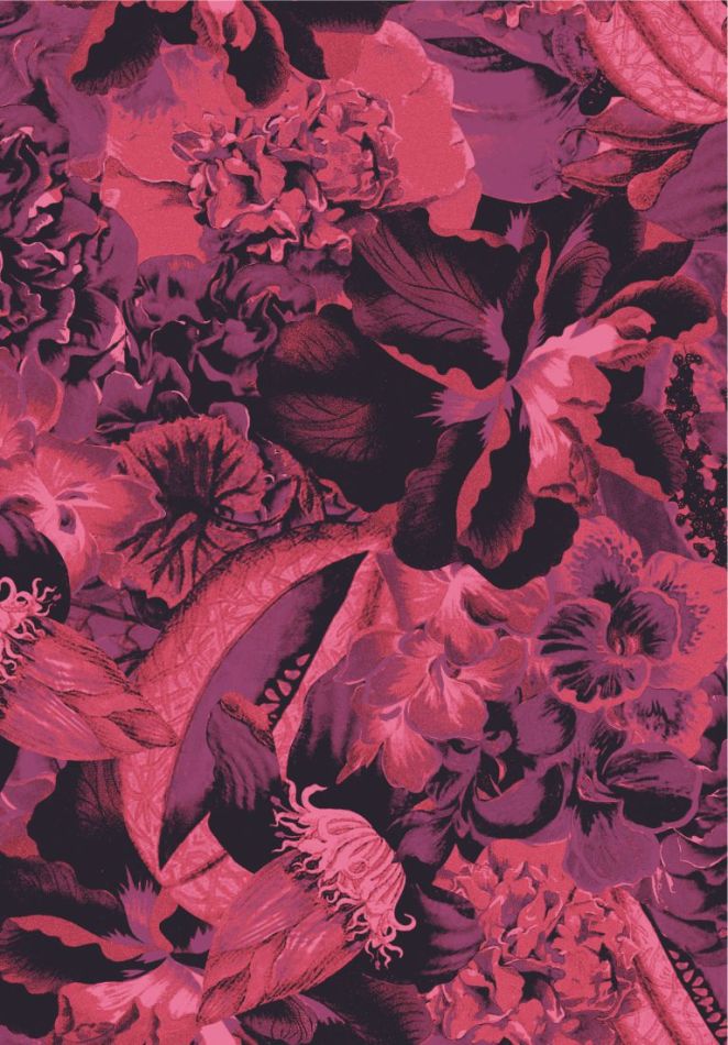 Preview: Havana Frida Viola HAV903