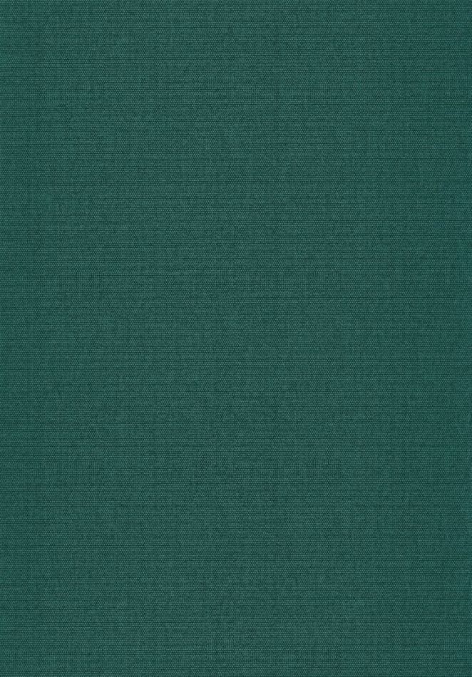 Preview: RESOLUTION VERT HELS82077310