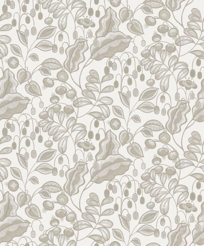 Preview: Bahia Moonbeam HIA002