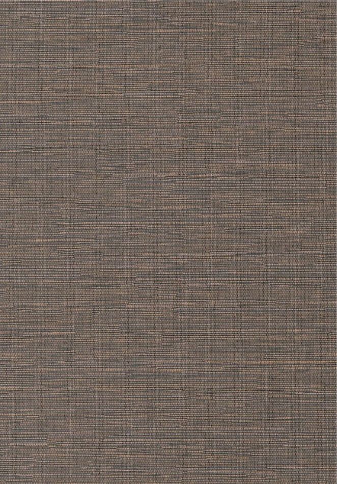 Cadie Mocca HPCSIS0004