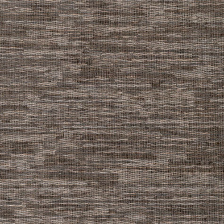 Preview: Cadie Mocca HPCSIS0004