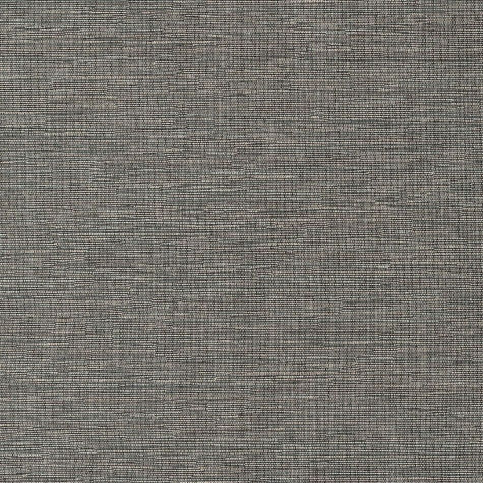 Preview: Cadie Delicioso HPCSIS0006