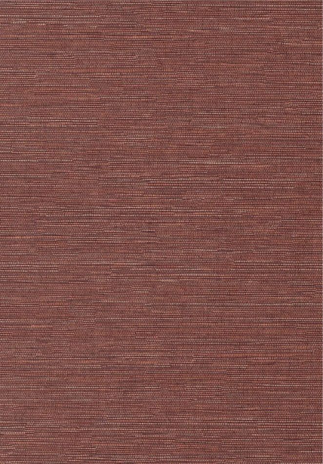 Cadie Spice HPCSIS0007