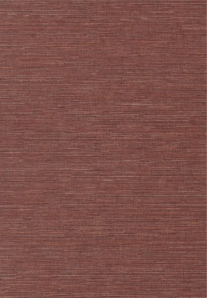 Cadie Spice HPCSIS0007