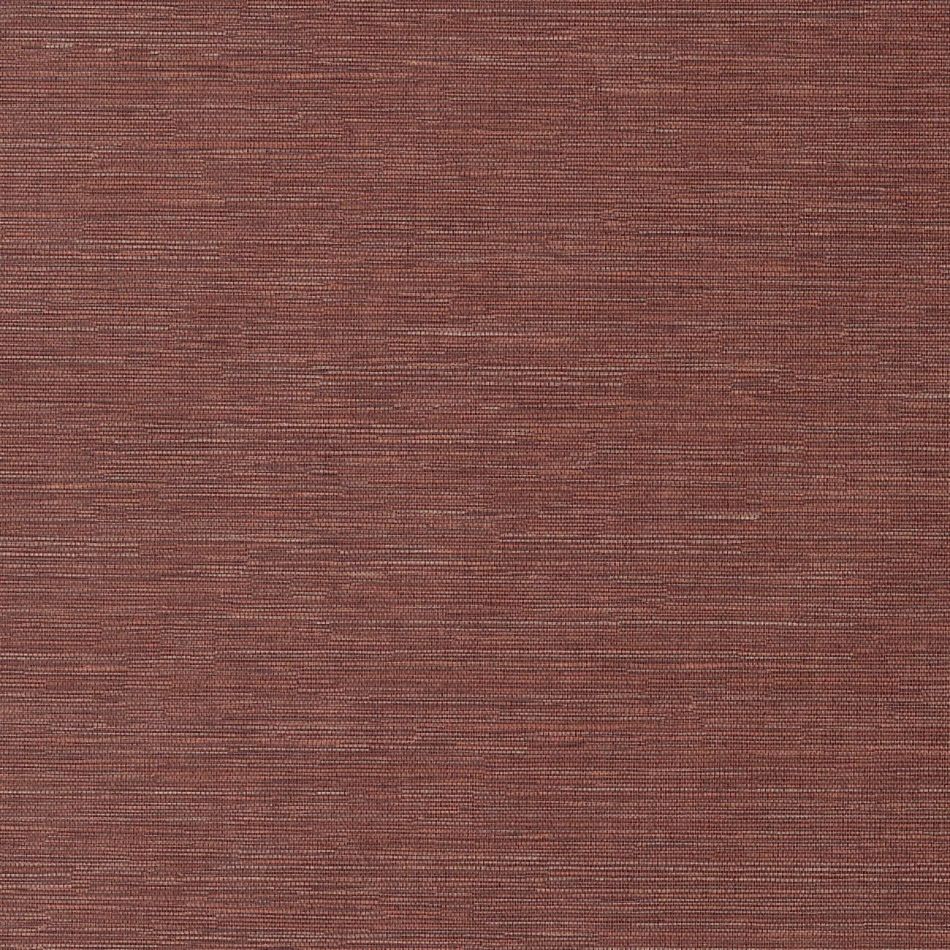 Preview: Cadie Spice HPCSIS0007