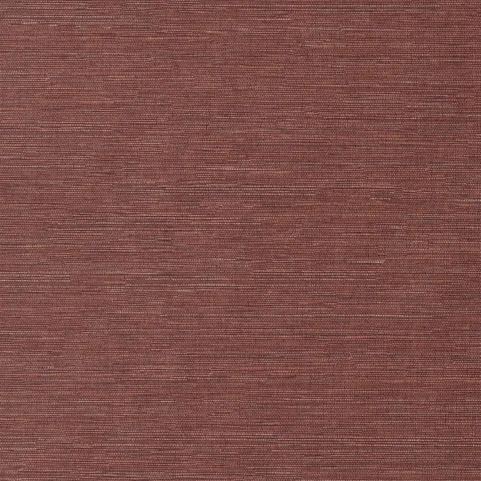 Cadie Spice HPCSIS0007