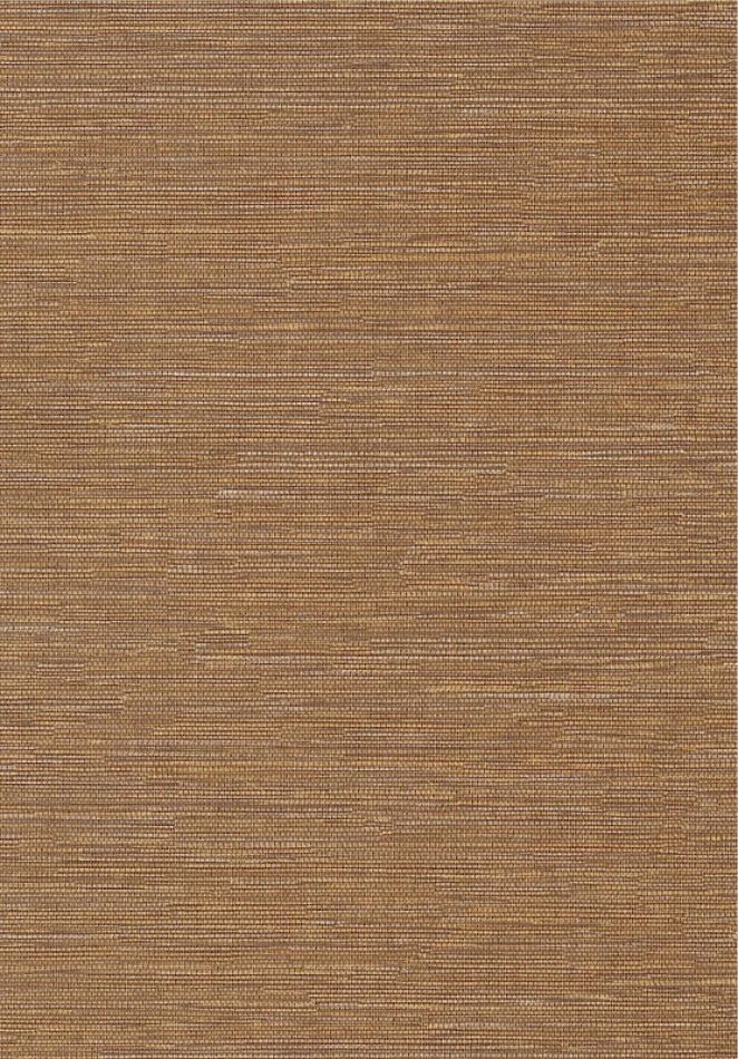 Cadie Amber HPCSIS0008