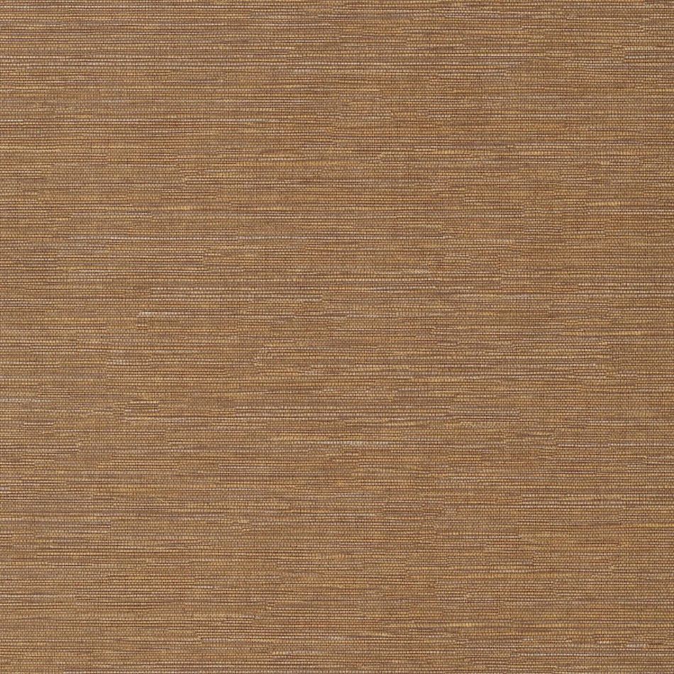 Preview: Cadie Amber HPCSIS0008