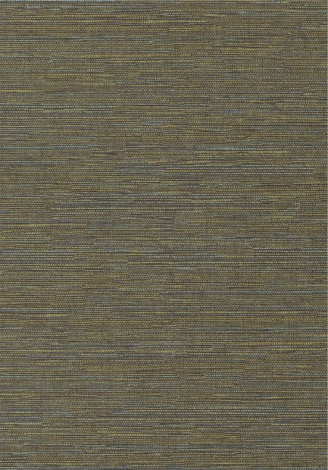 Cadie Lime HPCSIS0009