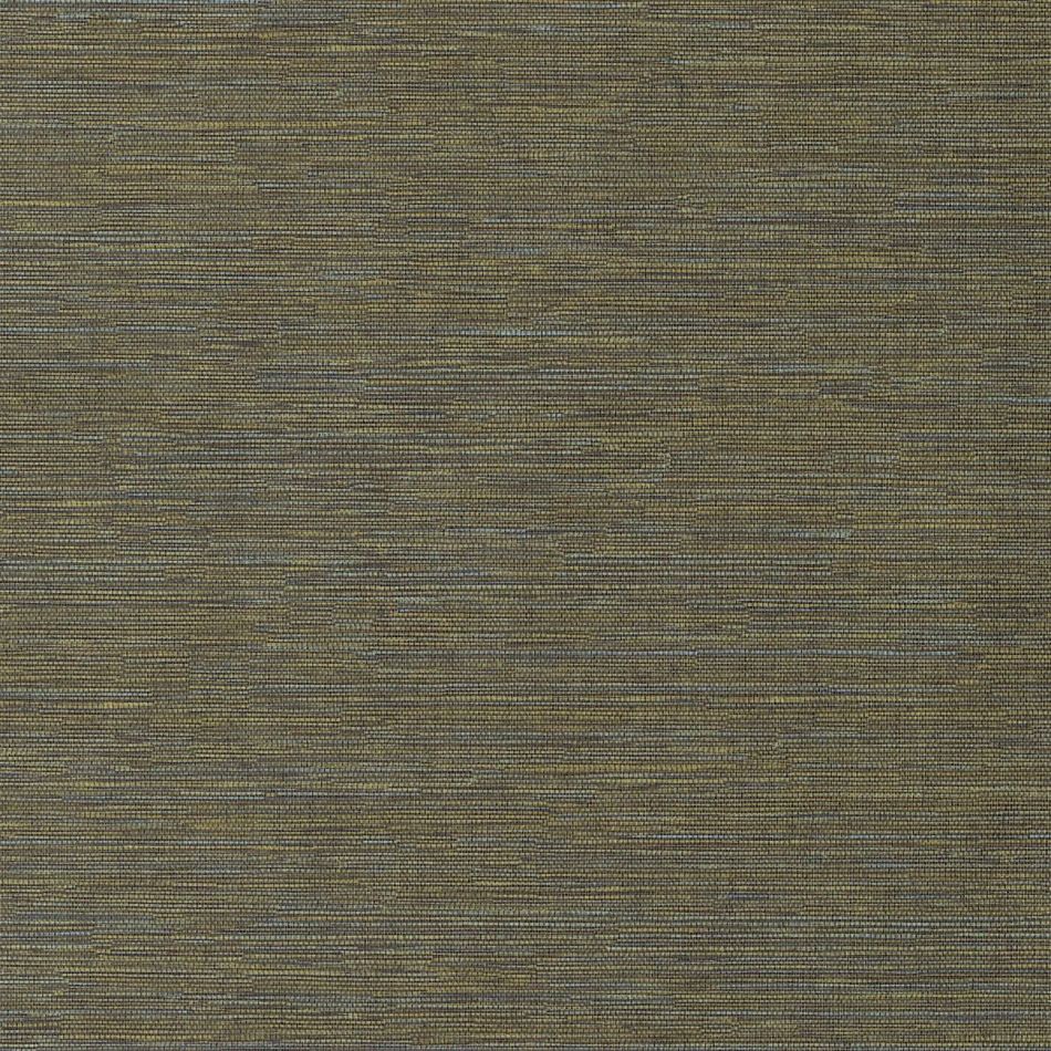 Preview: Cadie Lime HPCSIS0009