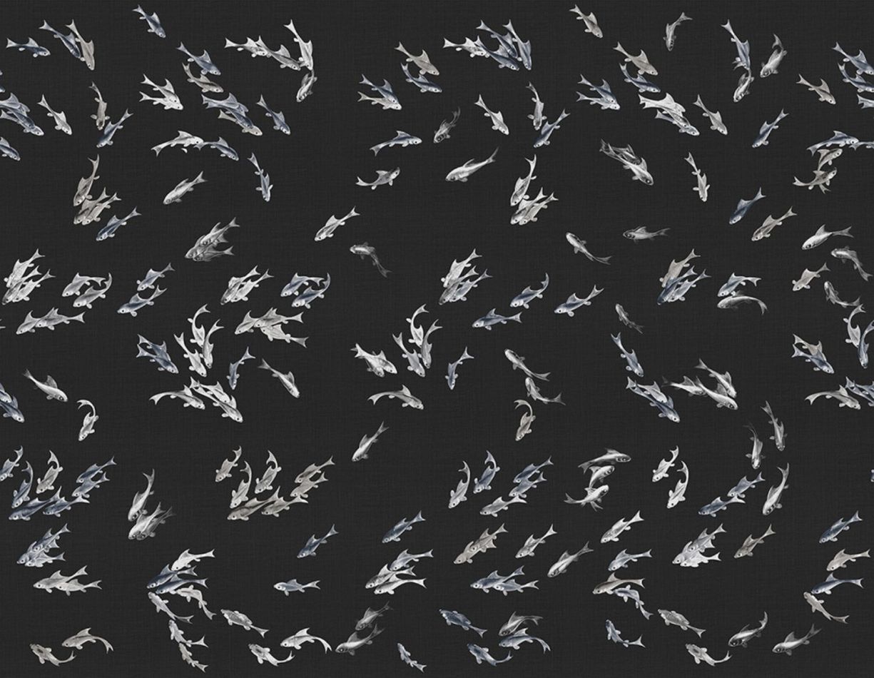 Preview: Hakma KMN11-C