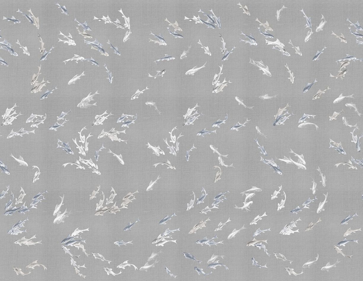 Preview: Hakma KMN11-D