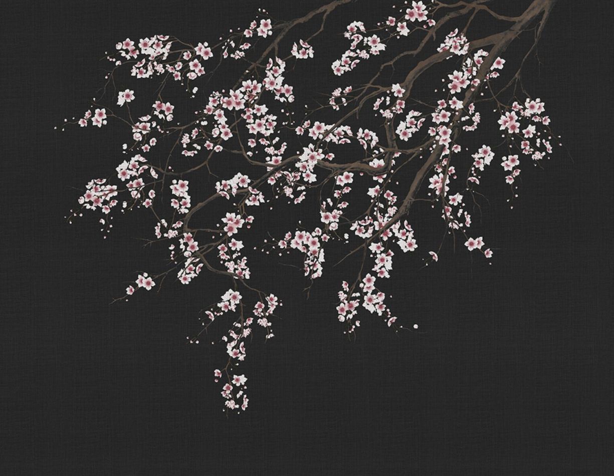 Preview: Haori KMN05-C