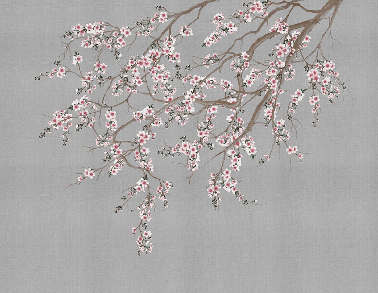 Preview: Haori KMN05-D